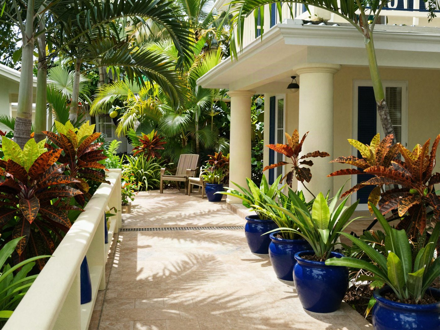 Illustrative image of a tropical garden walkway with potted plants